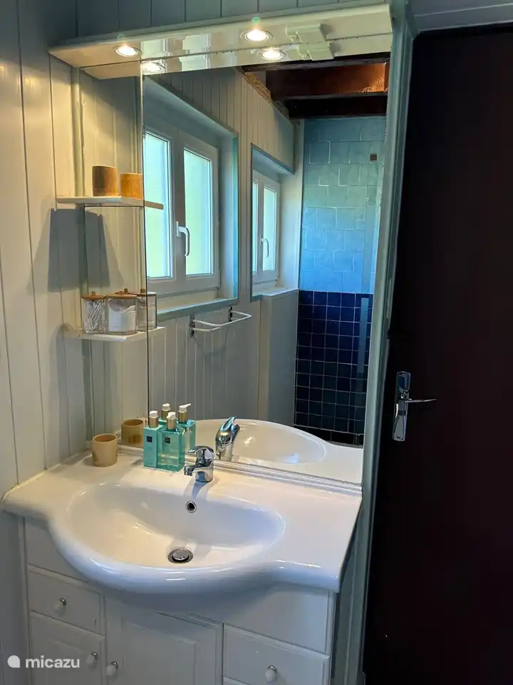 La salle de bain avec lavabo et douche à l'italienne