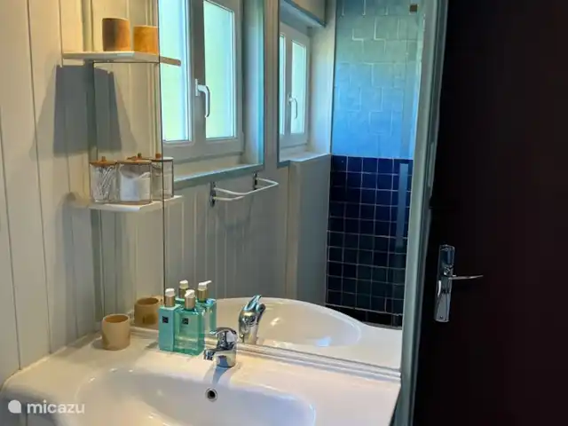 Maison Archon | France, Aisne, Archon - maison de vacances La salle de bain avec lavabo et douche à l'italienne