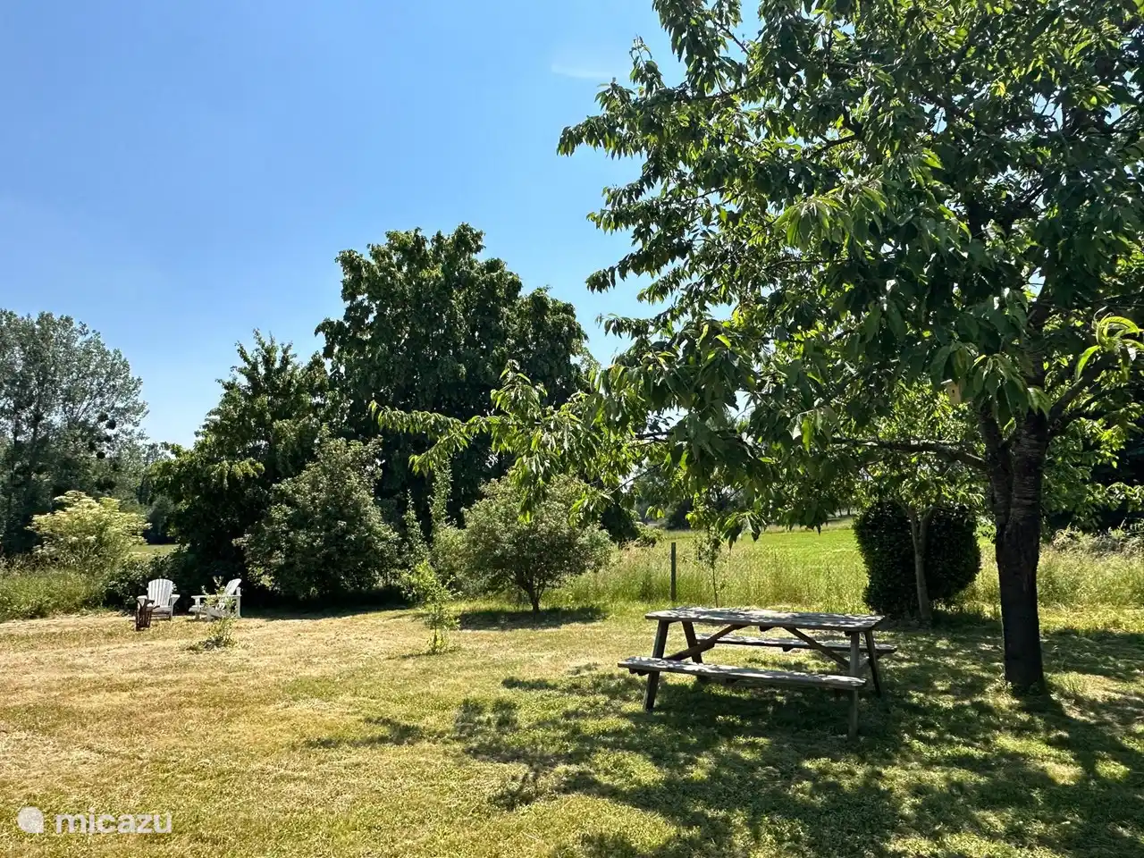 Une partie du jardin.