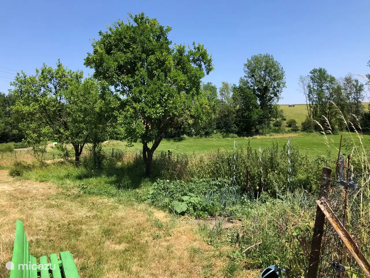 Une partie du jardin, avec un petit potager, à partir duquel vous pourrez utiliser des légumes et des herbes selon vos besoins.