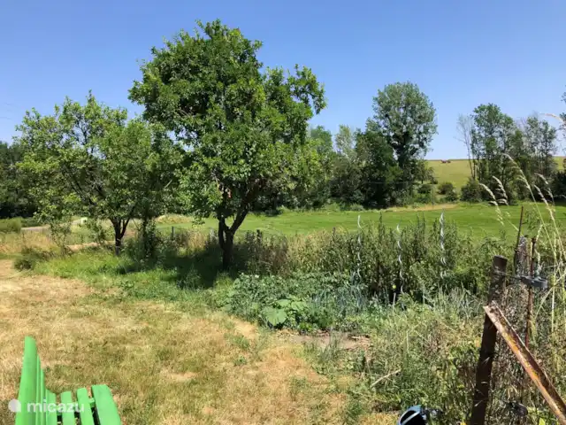 Maison Archon | France, Aisne, Archon - maison de vacances Une partie du jardin, avec un petit potager, à partir duquel vous pourrez utiliser des légumes et des herbes selon vos besoins.