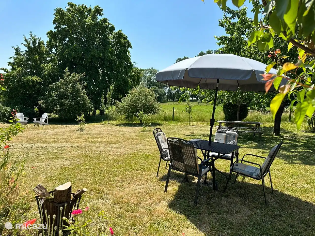 Une partie du jardin.