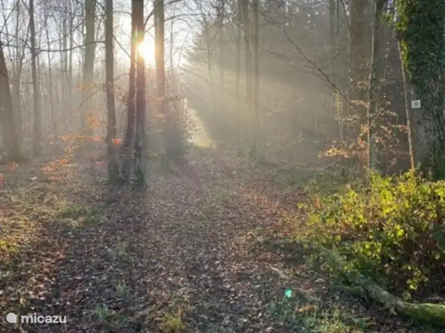 Maison Archon | France, Aisne, Archon - maison de vacances Les bois sont à proximité.