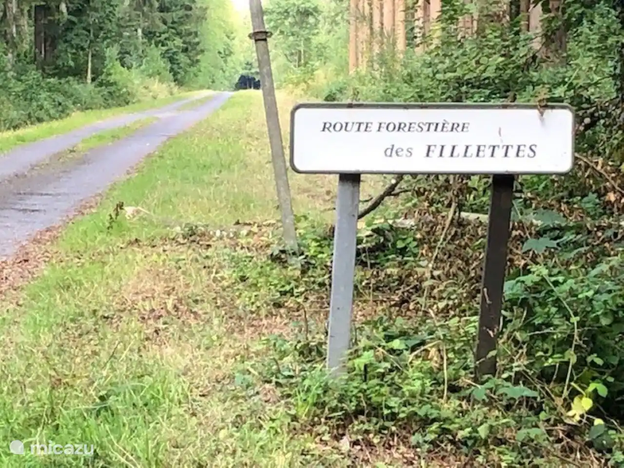 Beaucoup de belles routes pour faire du vélo et de la marche.