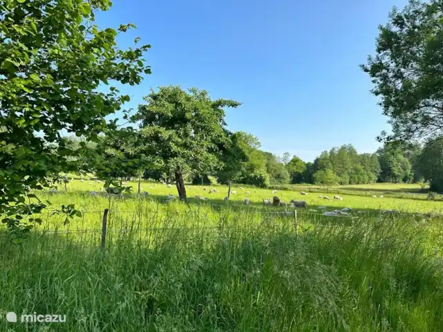 Maison Archon | France, Aisne, Archon - maison de vacances La vue!
