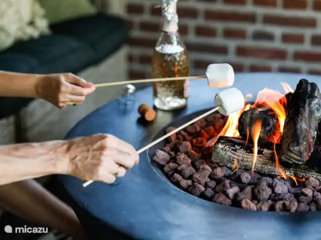 Le Ronfleur | Pays-Bas, Brabant-Septentrional,  Wilbertoord - maison de vacances Guimauves sur le feu.