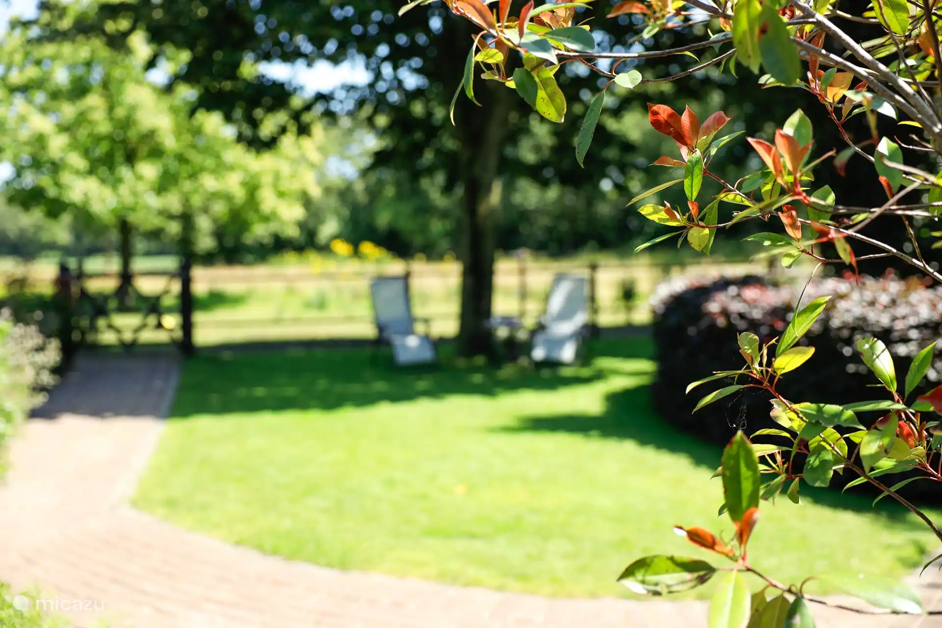 Le beau jardin bien entretenu.