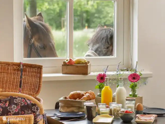 Le Ronfleur | Pays-Bas, Brabant-Septentrional,  Wilbertoord - maison de vacances La possibilité de réserver un délicieux petit-déjeuner.