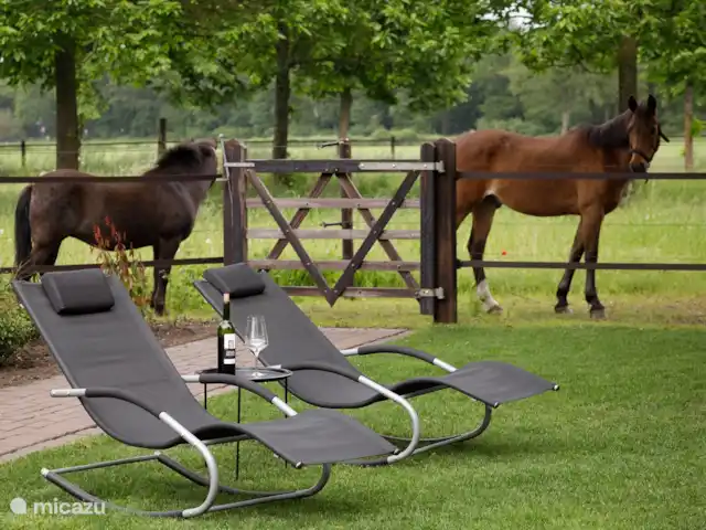 Le Ronfleur | Pays-Bas, Brabant-Septentrional,  Wilbertoord - maison de vacances Détendez-vous dans le grand jardin avec vue sur les chevaux.