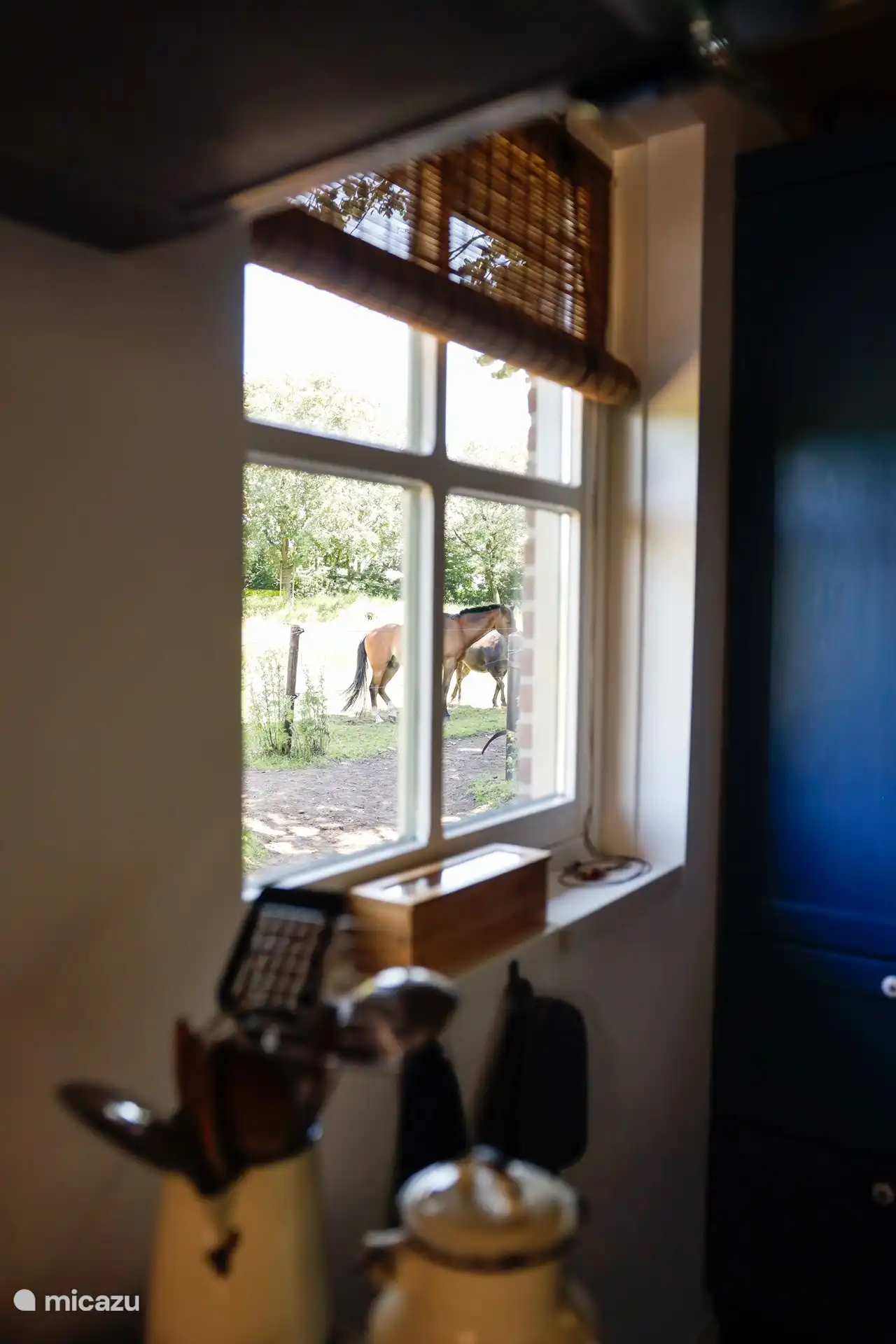 Vue des chevaux depuis le chalet.