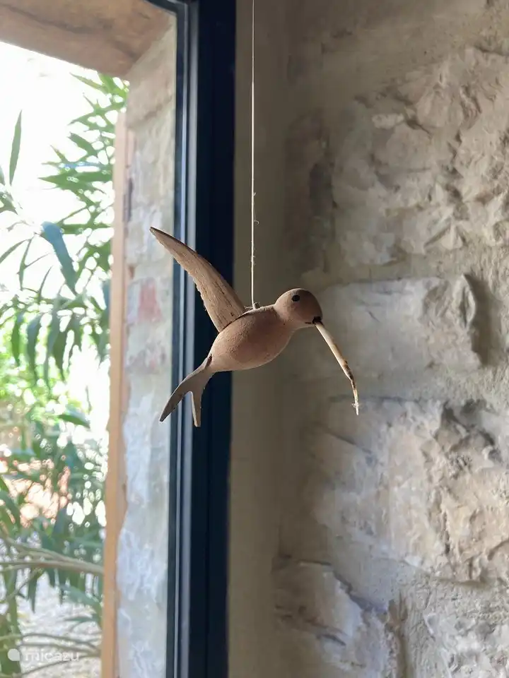 Vous pouvez trouver beaucoup d'oiseaux et d'autres animaux autour de la maison