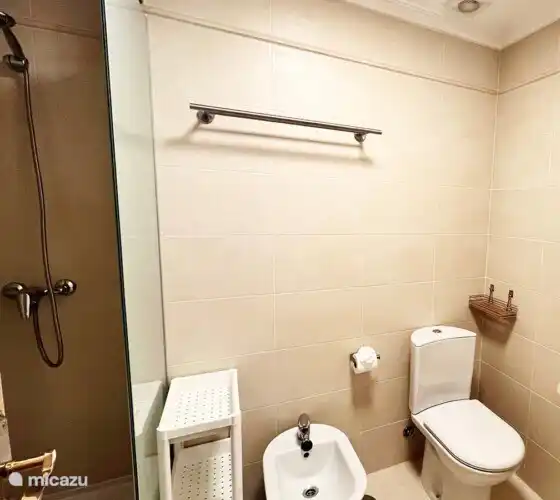 Cuarto de baño con ducha a ras de suelo.