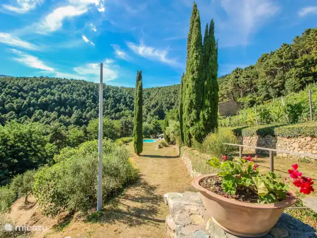 Propriété avec piscine privée 20km Pise | Italie, Toscane, Buti - maison de vacances