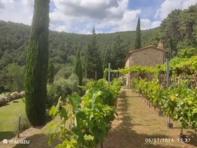 Propriété avec piscine privée 20km Pise | Italie, Toscane, Buti - maison de vacances