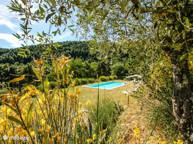 Propriété avec piscine privée 20km Pise | Italie, Toscane, Buti - maison de vacances