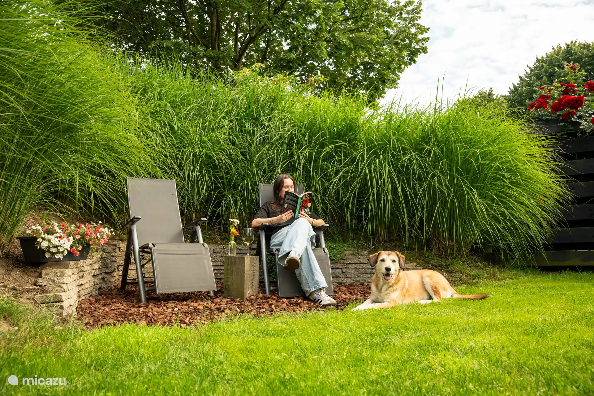 Zonas de descanso agradables en el jardín completamente vallado, donde el perro también puede relajarse.