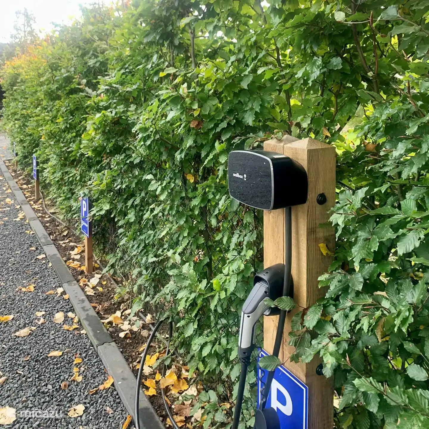 Auch an eine Ladestation für Ihr Auto wurde gedacht. 