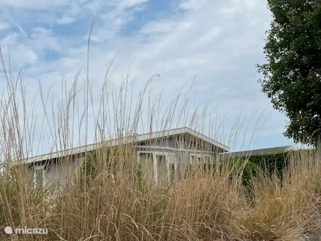 Maison de plage bleue | Pays-Bas, Zélande, Breskens - chalet Extérieur