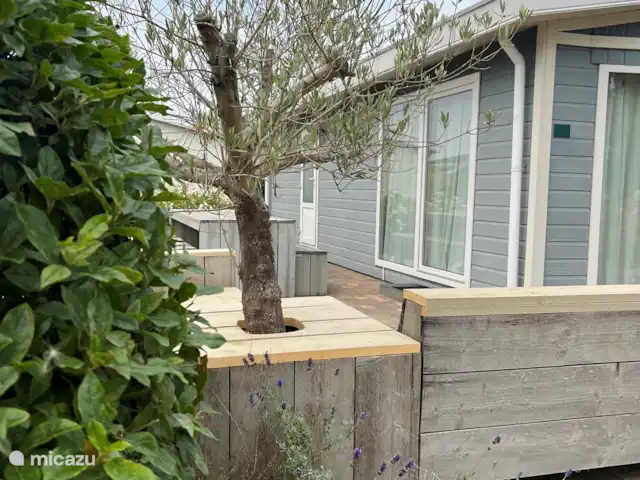 Maison de plage bleue | Pays-Bas, Zélande, Breskens - chalet Terrasse