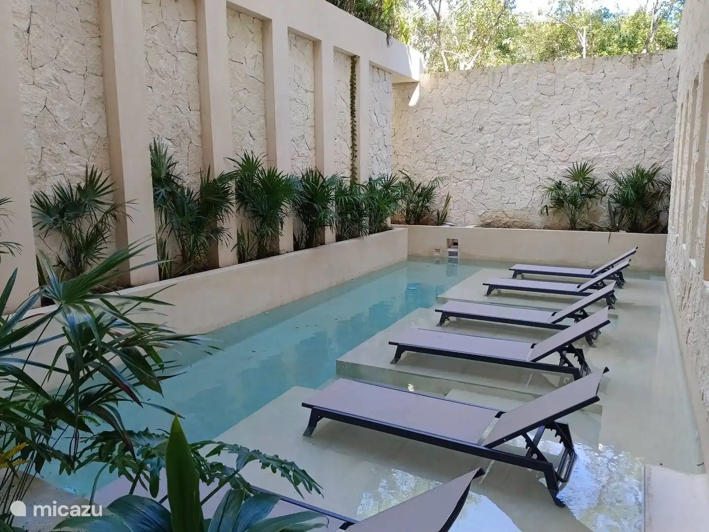 Das Erdgeschoss zeichnet sich durch diesen attraktiven Gemeinschaftspool mit Liegestühlen aus. Der Pool setzt sich hinter dem Fotografen fort und endet an vier Seiten in privaten Bereichen.