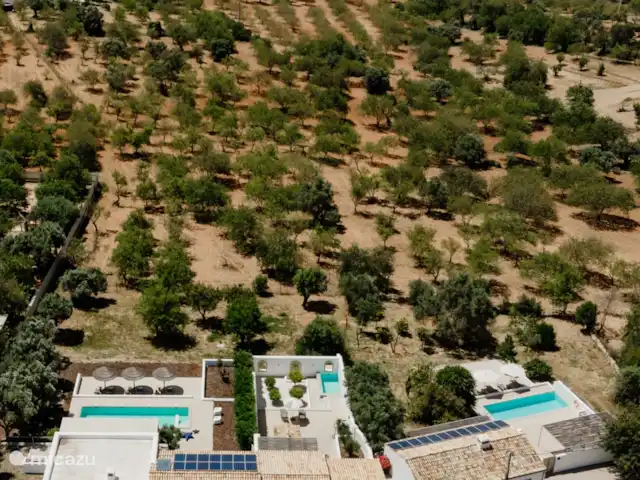 Location de Vacances Portugal, Algarve, Boliqueime, maison de vacances - Quinta Nespera l Emplacement idyllique