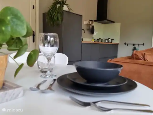 Casa Moos | Pays-Bas, Overijssel, Geesteren - maison de vacances Espace de vie confortable avec une cuisine neuve et entièrement équipée