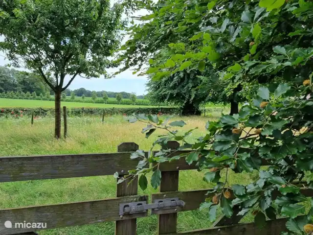 Casa Moos | Pays-Bas, Overijssel, Geesteren - maison de vacances Calme, espace et beaucoup de verdure autour de la maison.