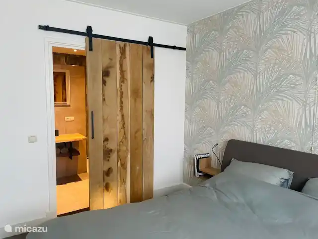 Casa Moos | Pays-Bas, Overijssel, Geesteren - maison de vacances Chambre au rez-de-chaussée avec lit double et salle de bain neuve en suite avec douche à l'italienne spacieuse