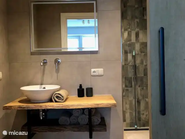 Casa Moos | Pays-Bas, Overijssel, Geesteren - maison de vacances Nouvelle salle de bain qui respire le luxe et le confort, la spacieuse douche à l'italienne dispose d'une jolie douche à effet pluie