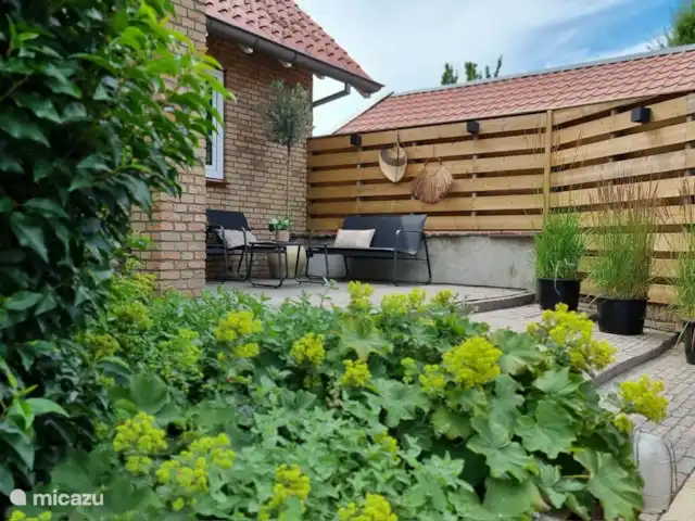 Casa Moos | Pays-Bas, Overijssel, Geesteren - maison de vacances Joli coin salon extérieur avec éclairage d'ambiance et vue dégagée