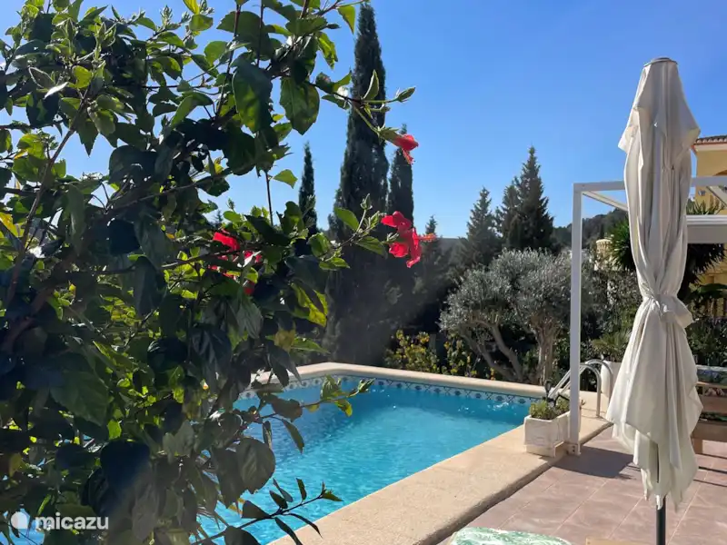 Retraite Casa de Alegria | Espagne, Costa Blanca, Pedreguer - Appartement Retraite Casa de Alegria | Espagne, Costa Blanca, Pedreguer - Appartement