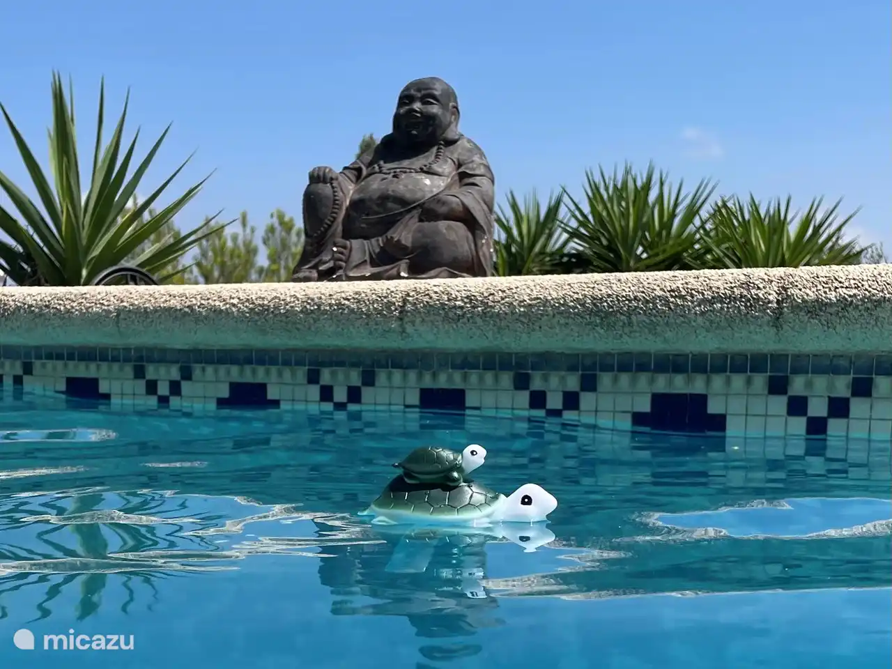 Uitzicht in het zwembad