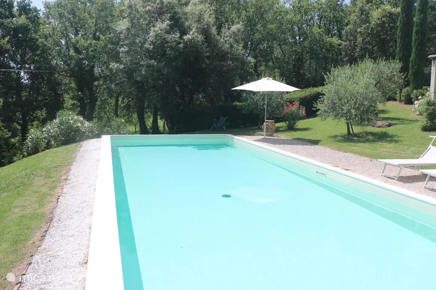 Olivenhain hinter dem Pool.