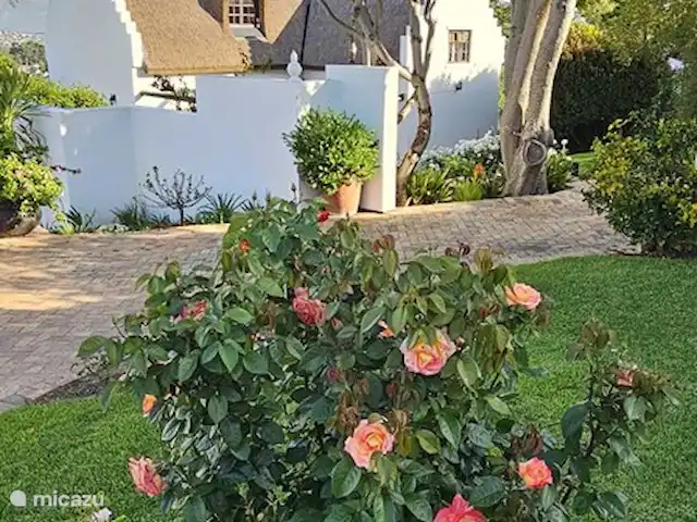 Location de Vacances Afrique du Sud, Le Cap (Cap occidental), Somerset West, gîte / cottage - Chaumière Somerset Ouest Façade de chaumière