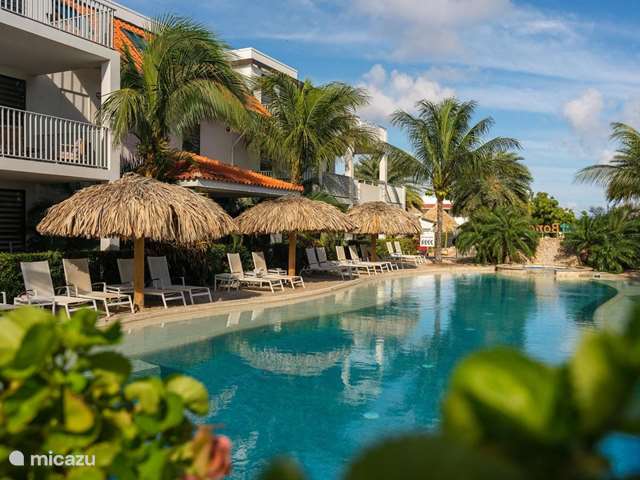 Vakantiehuis Bonaire, Bonaire, Belnem - appartement Villa MaJa  Appartement bonaire