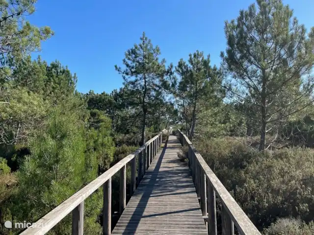vakantiehuis huren in Portugal, Costa de Prata, Murtosa – Modern schuurhuis op het platteland São Jacinto (natuurpark)