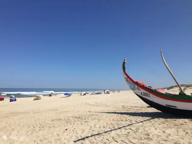 vakantiehuis huren in Portugal, Costa de Prata, Murtosa – Modern schuurhuis op het platteland Torreira-strand