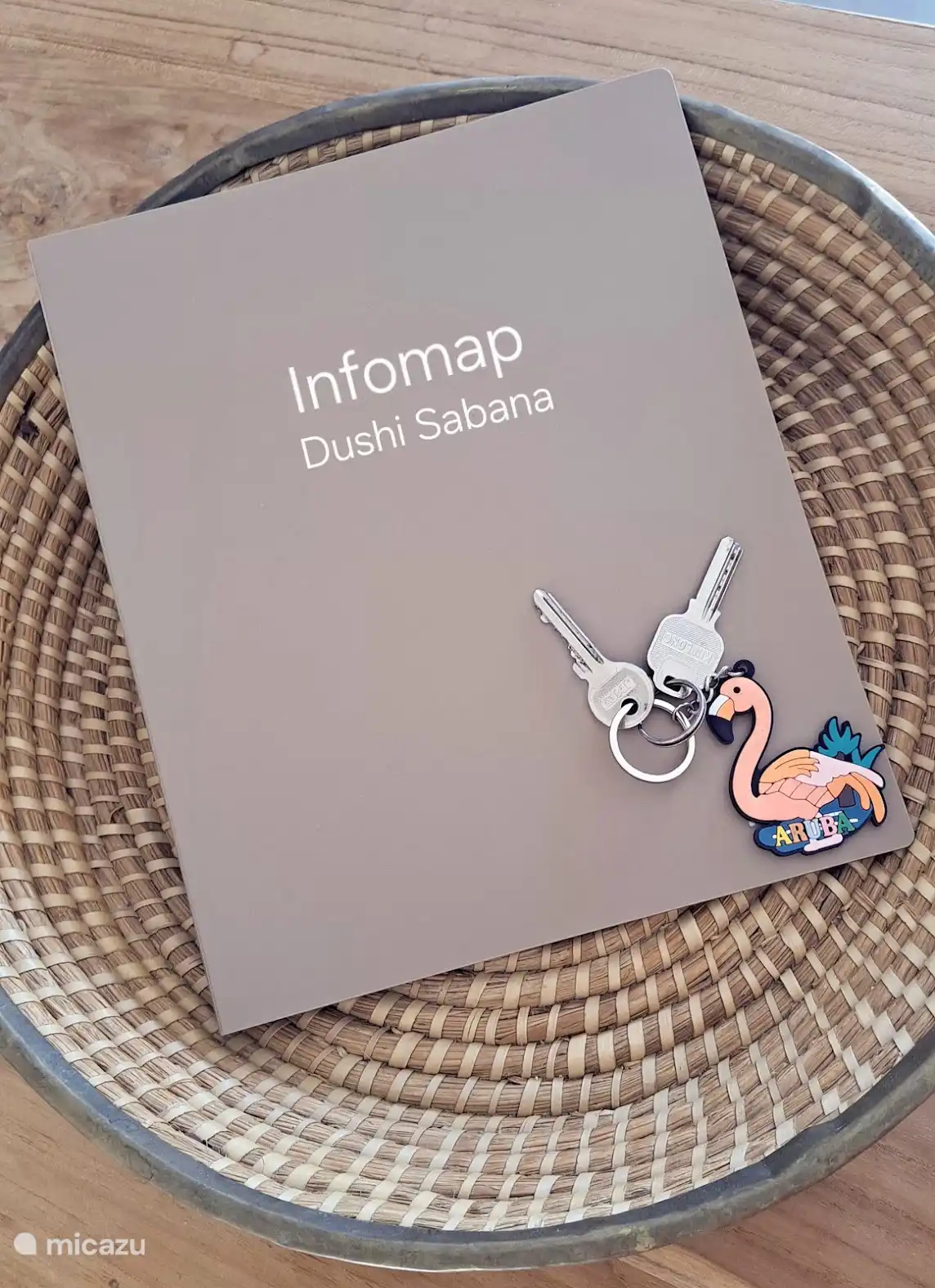 La carpeta info