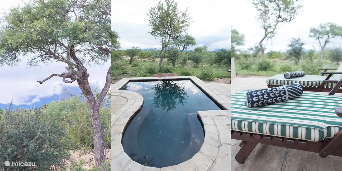 Eindruck vom Deckbereich