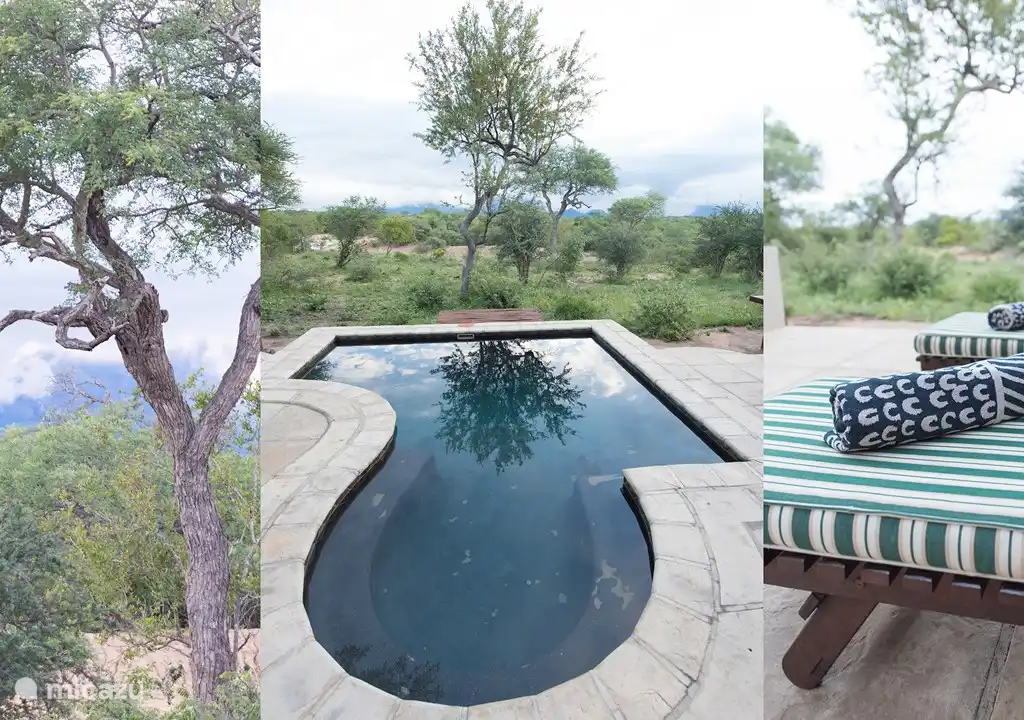 Luxe bushvilla nabij Kruger
