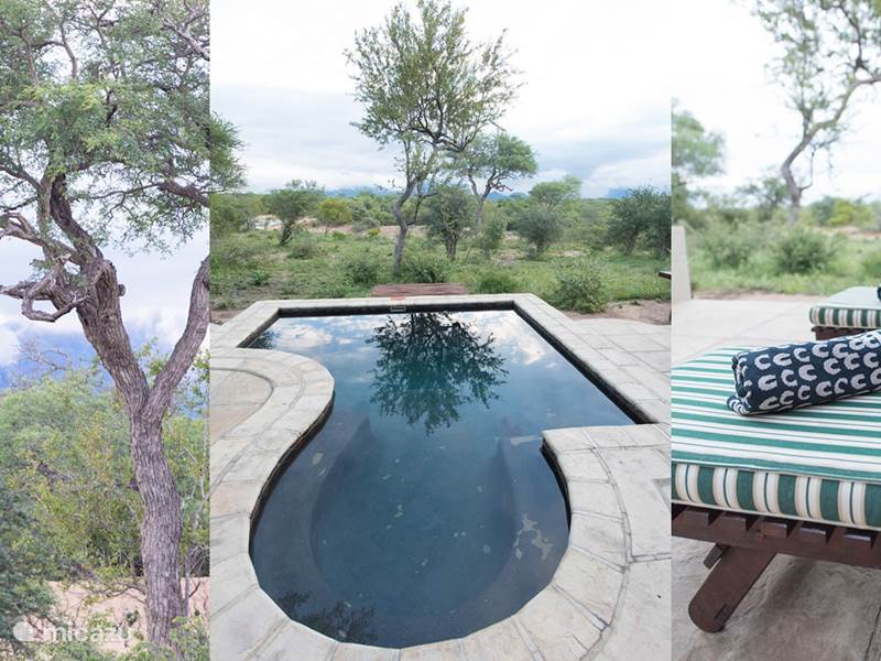 Holiday home in South Africa, Limpopo, Hoedspruit Holiday house Luxury bush villa near Kruger