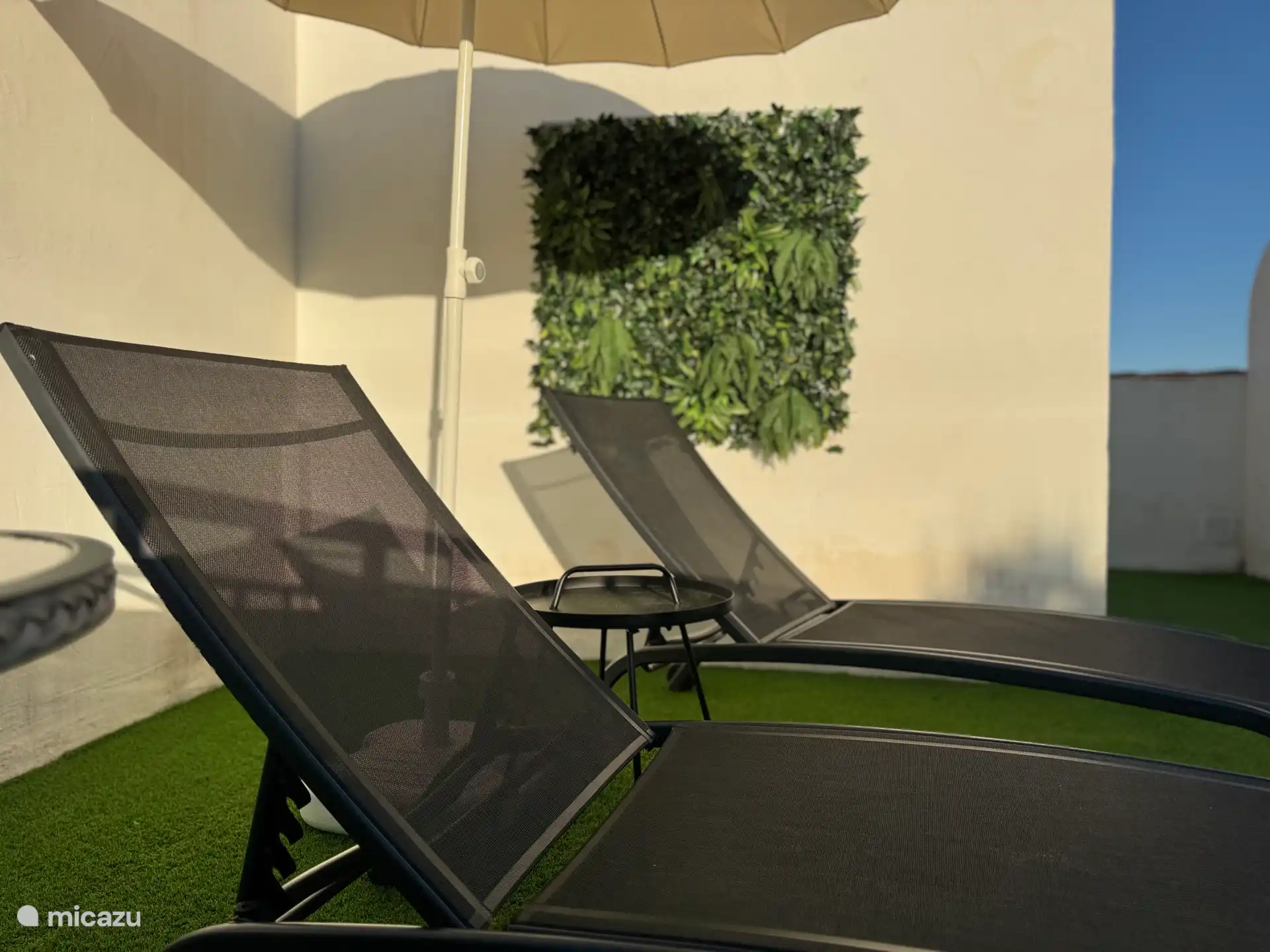 Roof terrace with new beds 