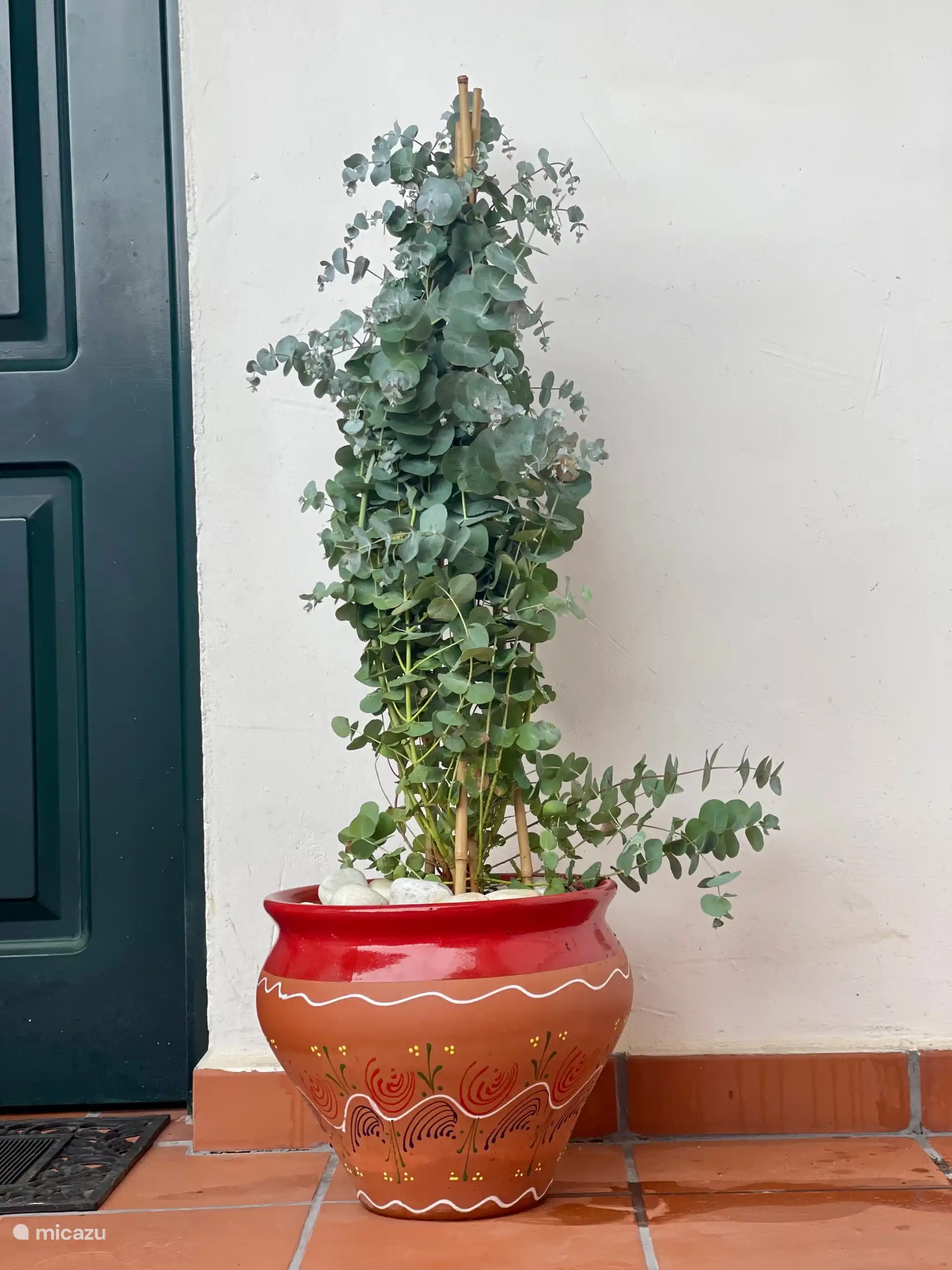 Entrance with its own front door and private front garden for breakfast in the morning sun 