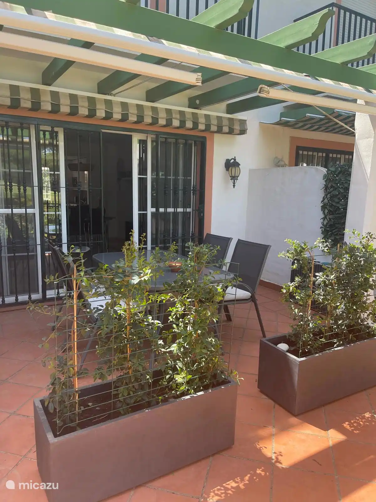 Backyard with plants 