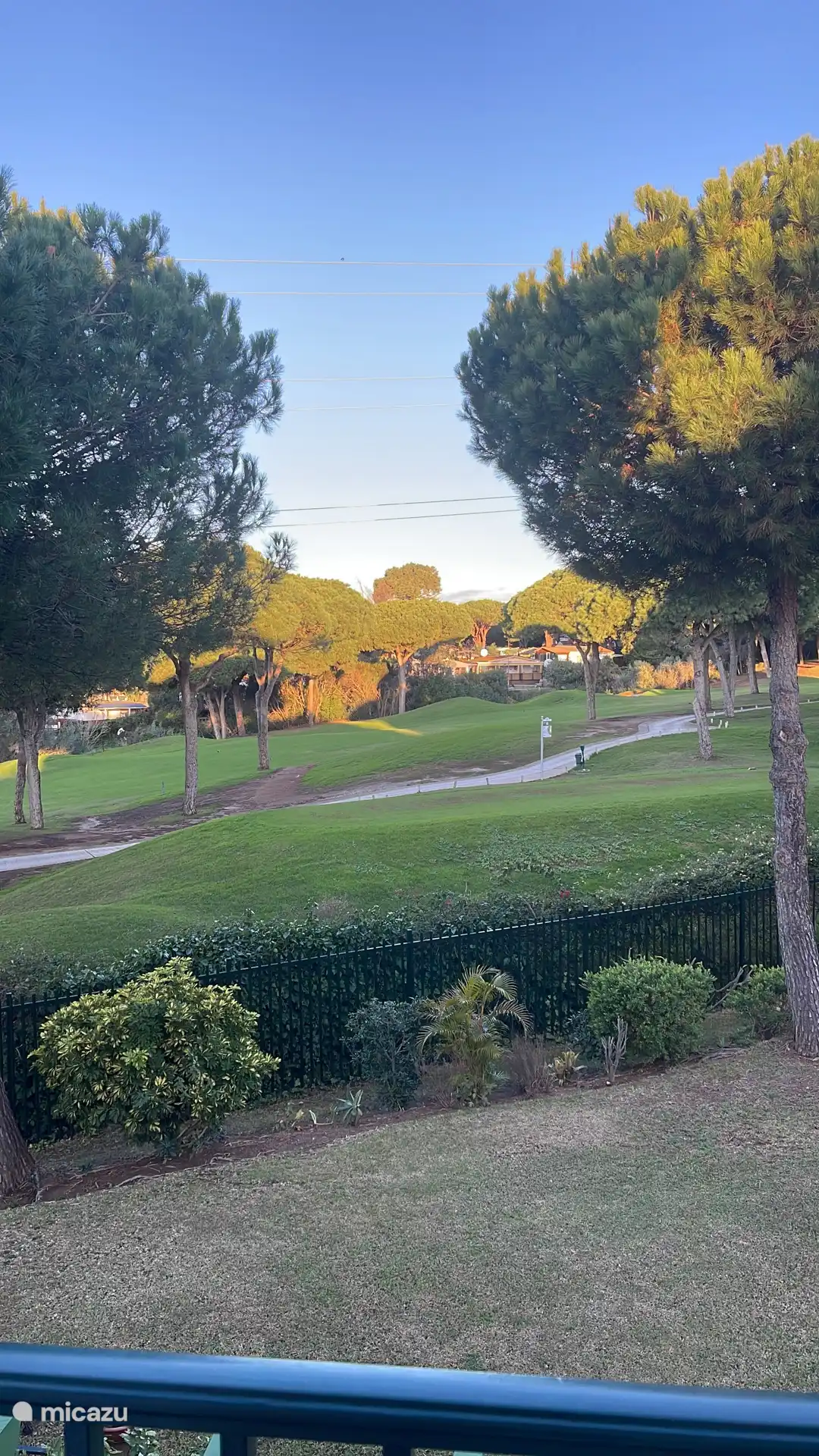 View from the back terrace 