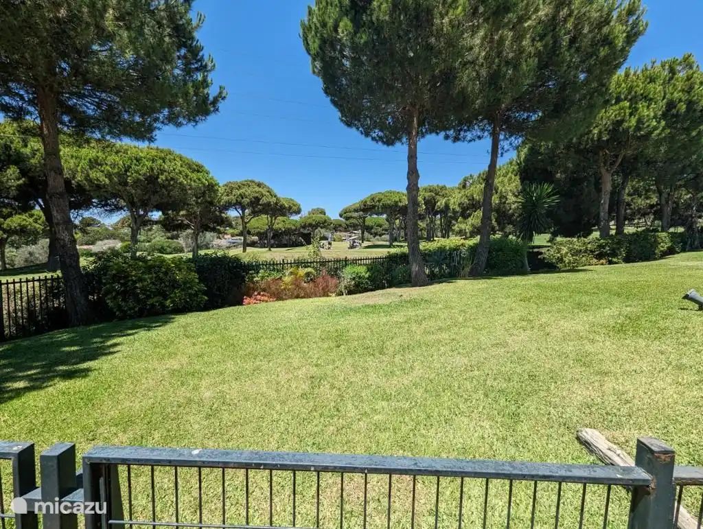 View from the rear terrace of the beautiful trees on the golf course 