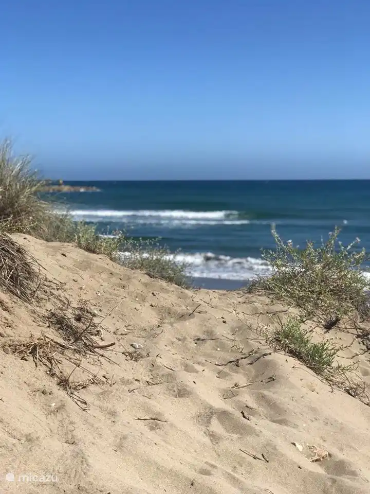 Protected sand dunes with natural vegetation