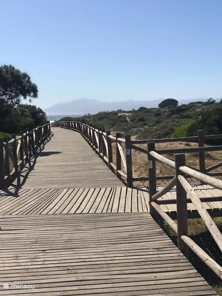 Beautiful walkway to protect dunes, plants and animals