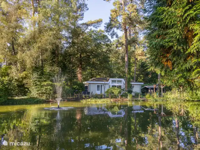 chalet huren in Nederland, Gelderland, Doornspijk – De Eekhoorn M20 chalet huren in Nederland, Gelderland, Doornspijk – De Eekhoorn M20