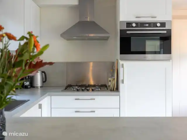 chalet huren in Nederland, Gelderland, Doornspijk – De Eekhoorn M20 keuken (detail)